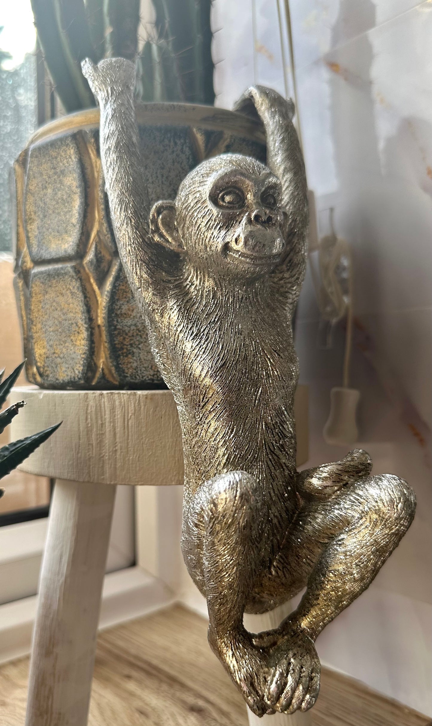 Hanging Monkey