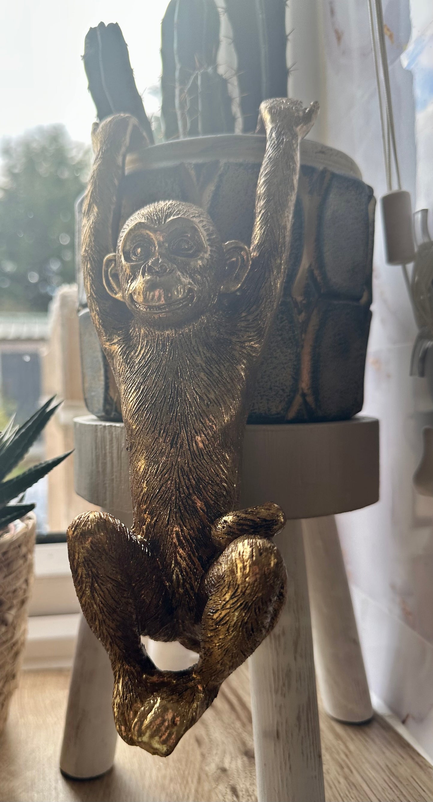 Hanging Monkey