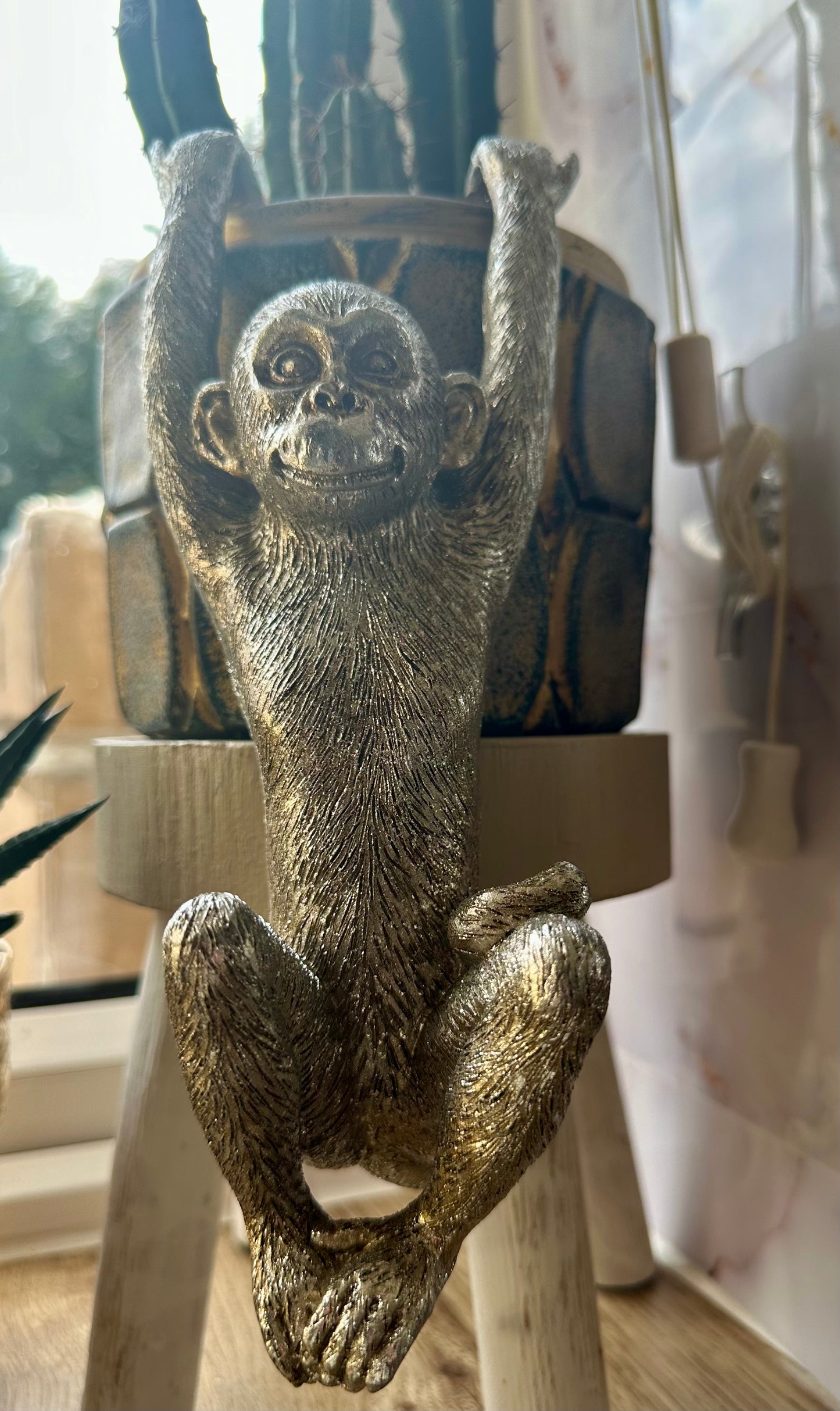 Hanging Monkey