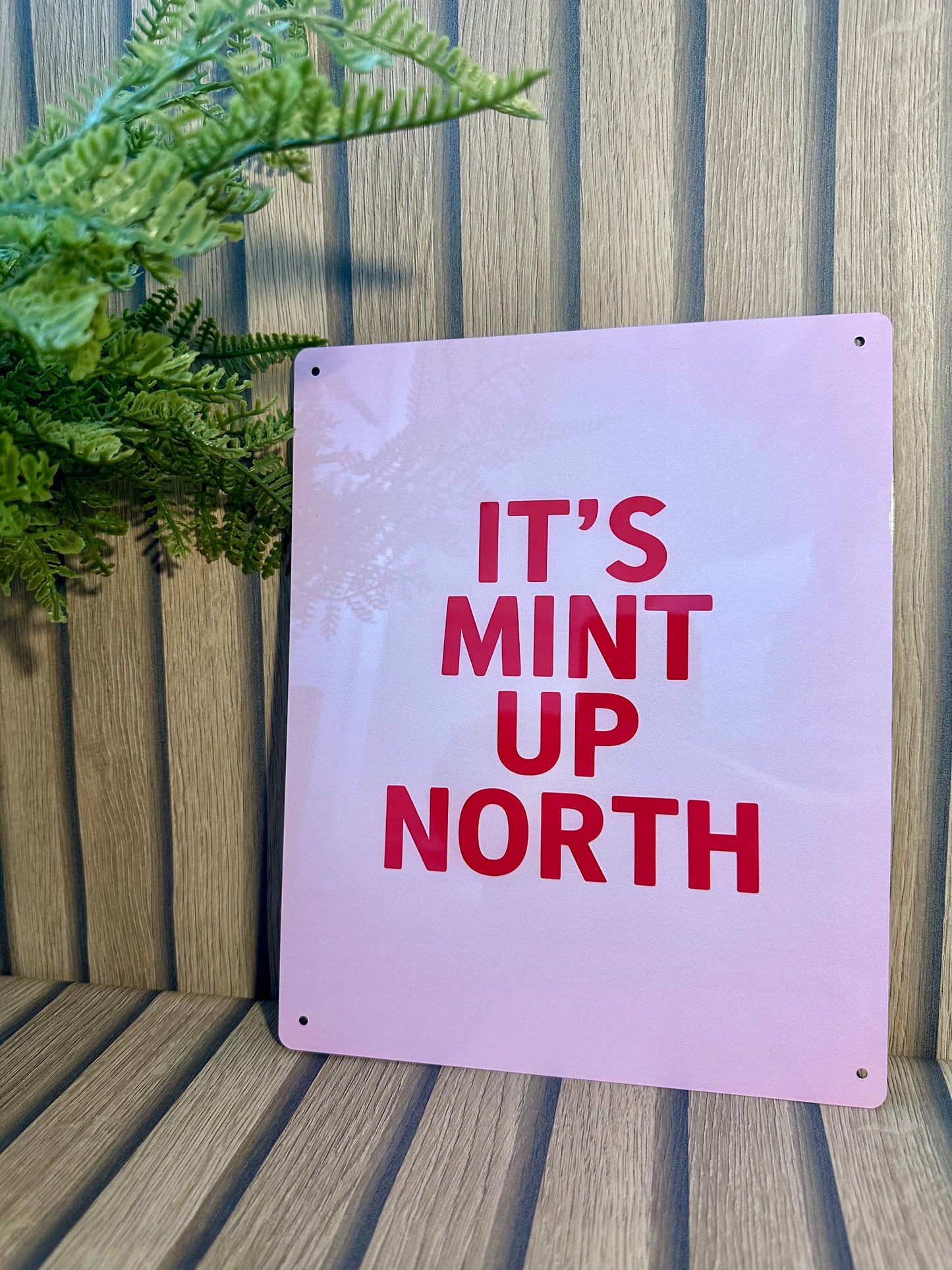 Mint up North
