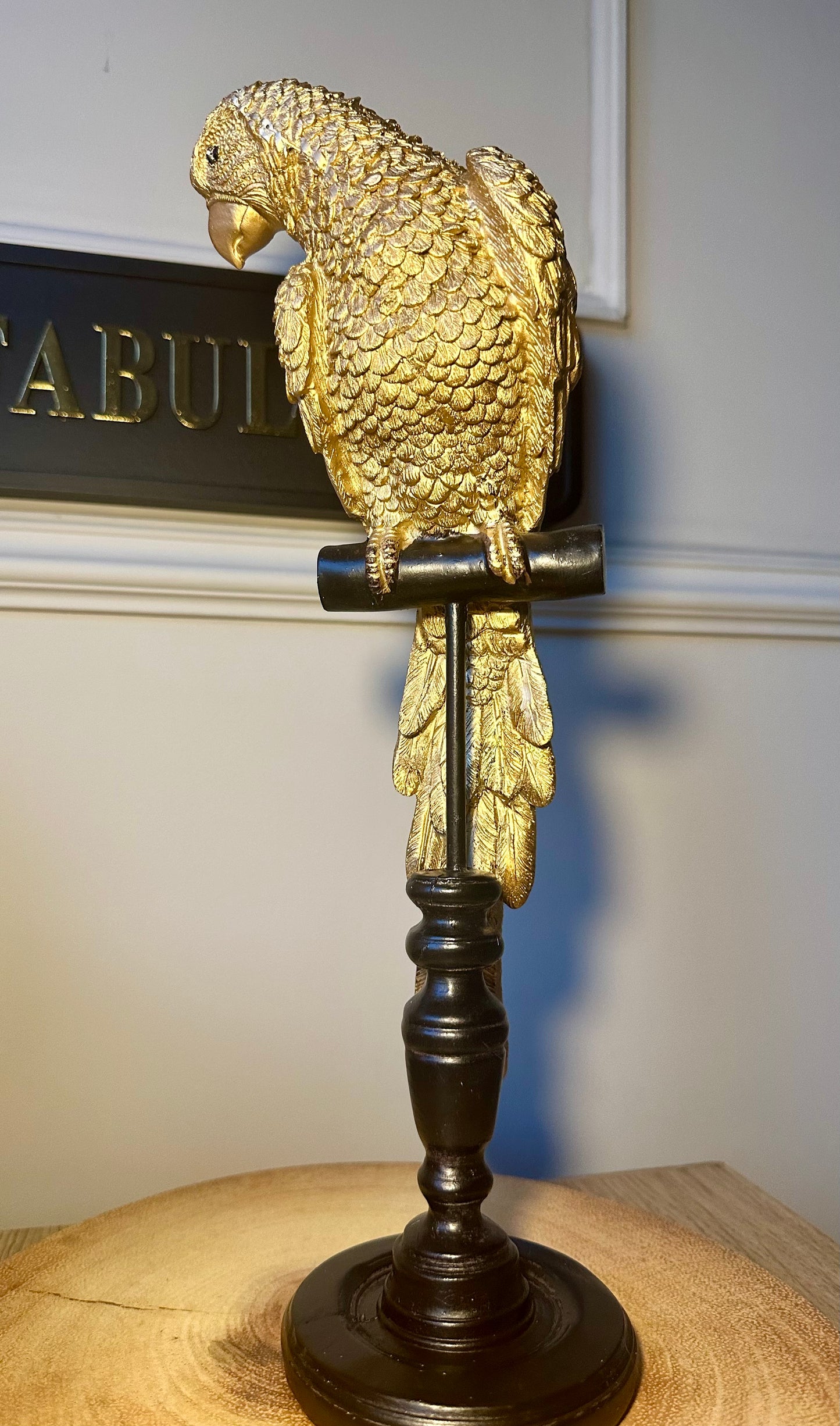 Parrot on Perch