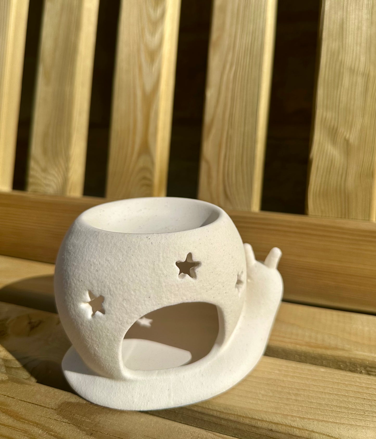 Snail Oil and Wax Warmer