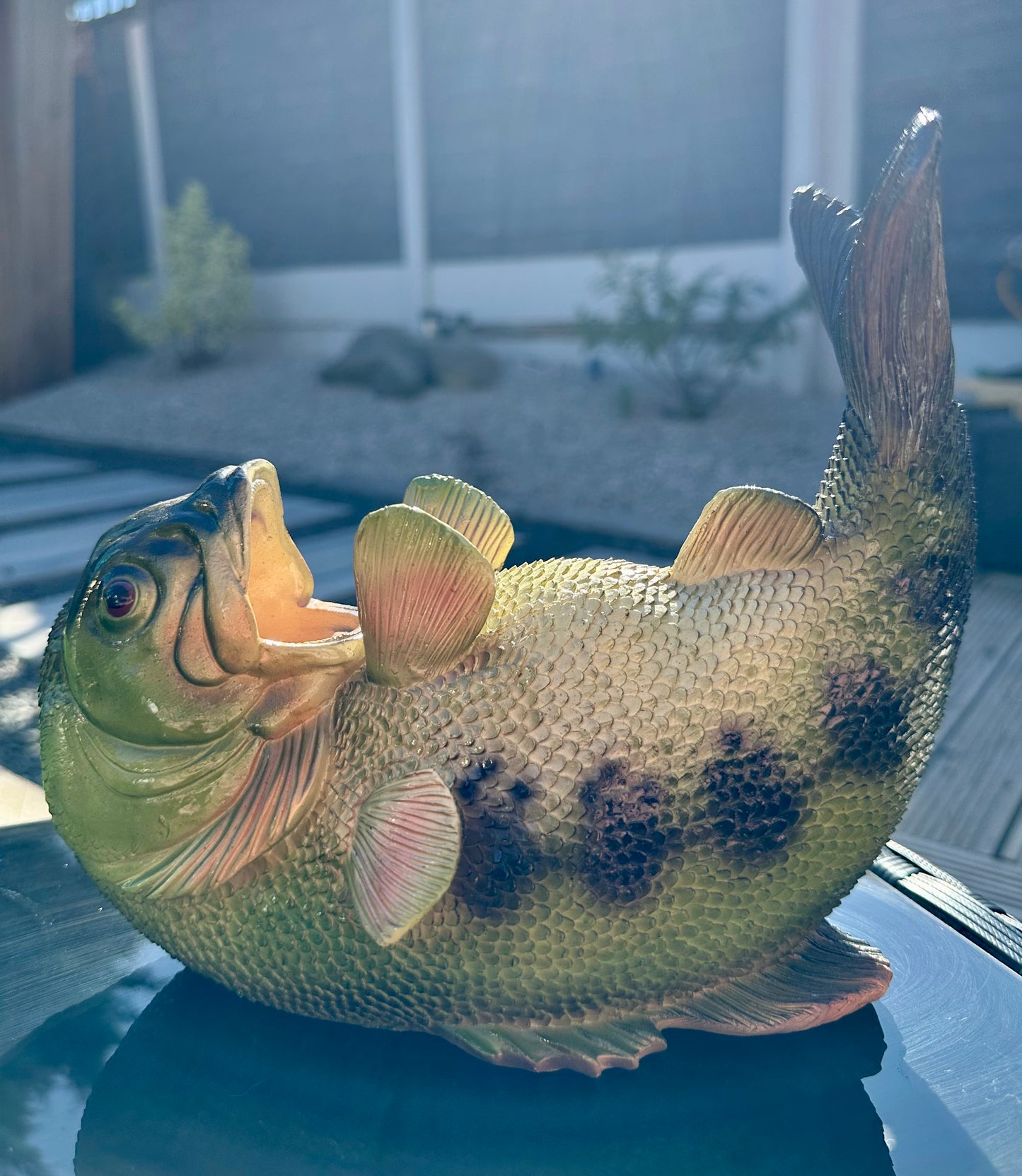Green Thirsty Fish Bottle Holder