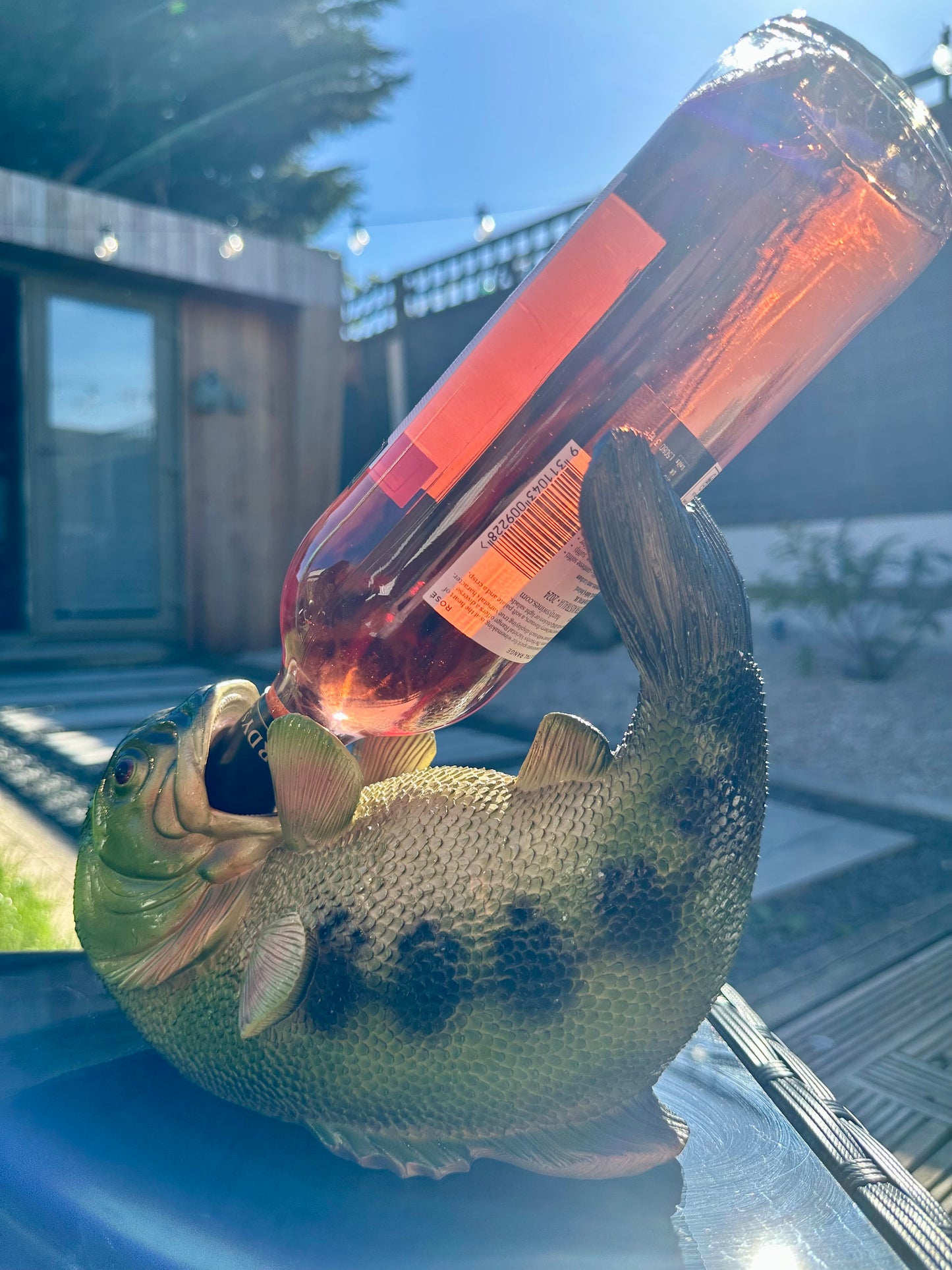 Green Thirsty Fish Bottle Holder