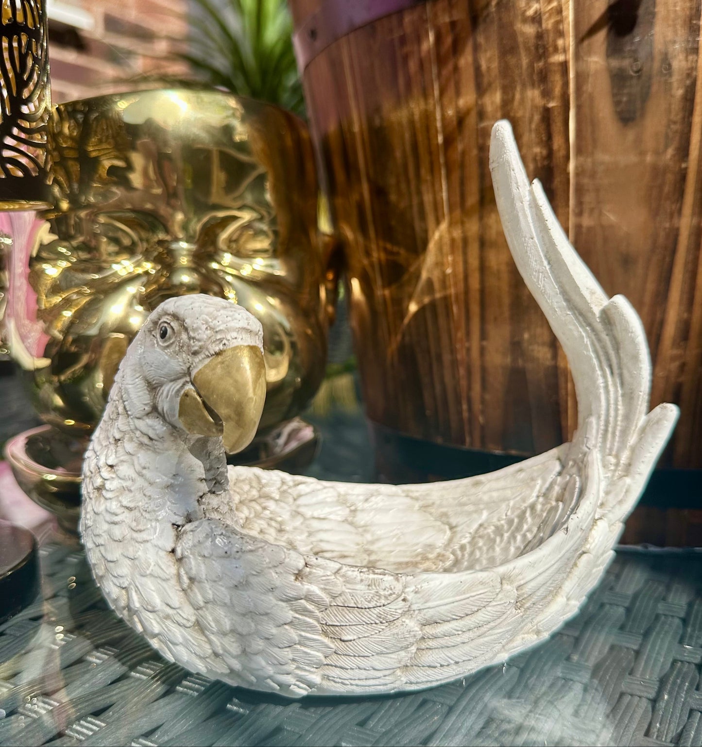 Parrot Shallow Dish